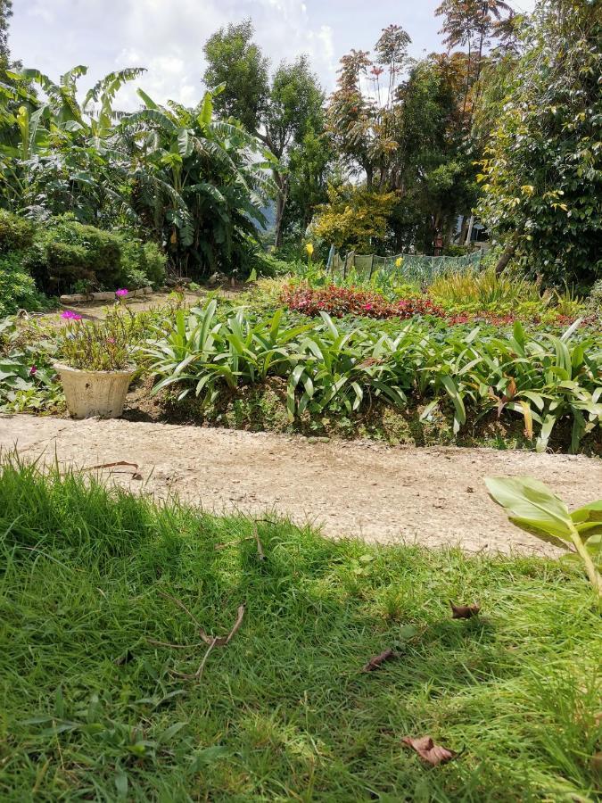 The Galways Edge Homestay Nuwara Eliya Luaran gambar