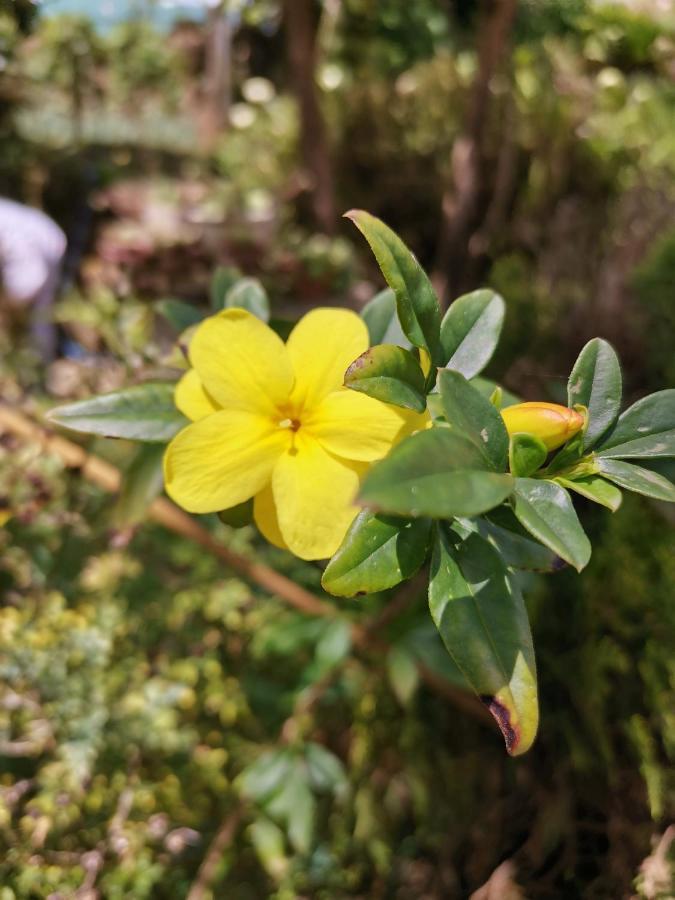 The Galways Edge Homestay Nuwara Eliya Luaran gambar