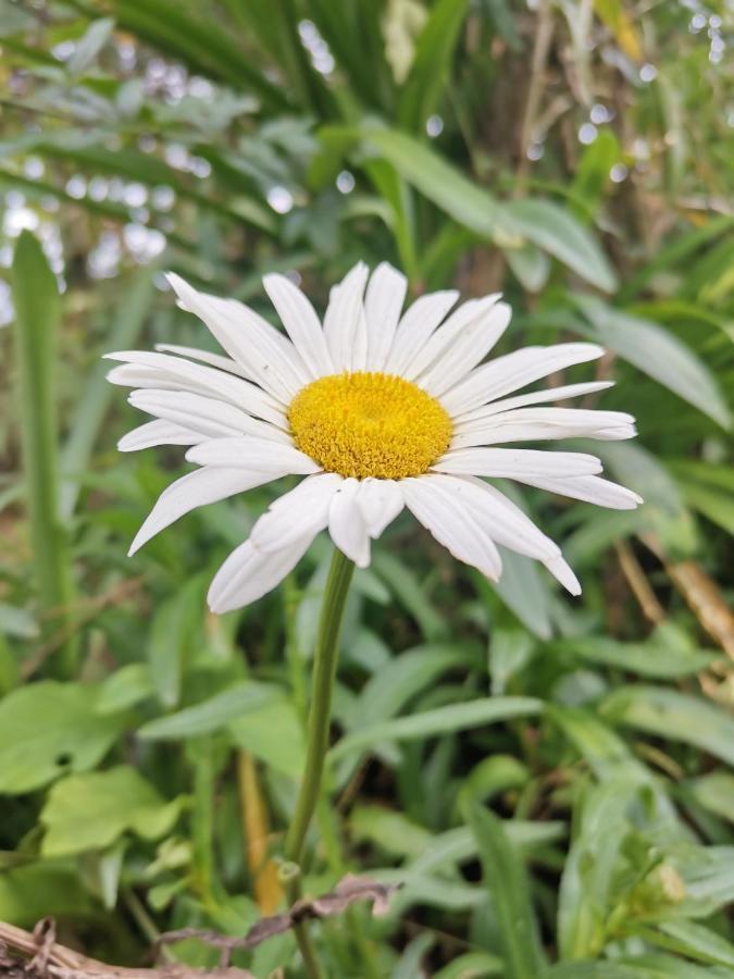 The Galways Edge Homestay Nuwara Eliya Luaran gambar
