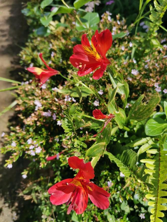 The Galways Edge Homestay Nuwara Eliya Luaran gambar