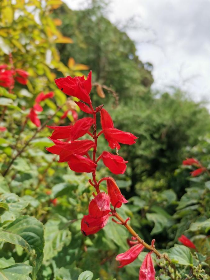The Galways Edge Homestay Nuwara Eliya Luaran gambar